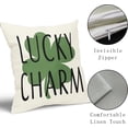 thumbnail image 3 of St. Patrick''s Day Pillow Covers 20x20 Inch Green Four-Leaf Clover Charm Throw Pillow Covers Set of 2 St P, 3 of 6
