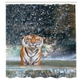thumbnail image 2 of Ambesonne Tiger Shower Curtain, Exotic Wildlife Nature, 69"Wx84"L, Multicolor, 2 of 4