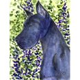 thumbnail image 1 of 11 x 15 Po Grand Drapeau de Taille de Jardin Dane, 1 of 1