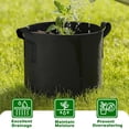 thumbnail image 6 of PHYEX 12-Pack 5 Gallon Black Grow Bags, Aeration Fabric Pots with Durable Handles, Come with 12 Pcs Plant Labels, 6 of 7