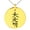 Gold, variant on Stainless Steel Reiki Dai Ko Myo Master Engraved Small Medallion Circle Charm Pendant Necklace