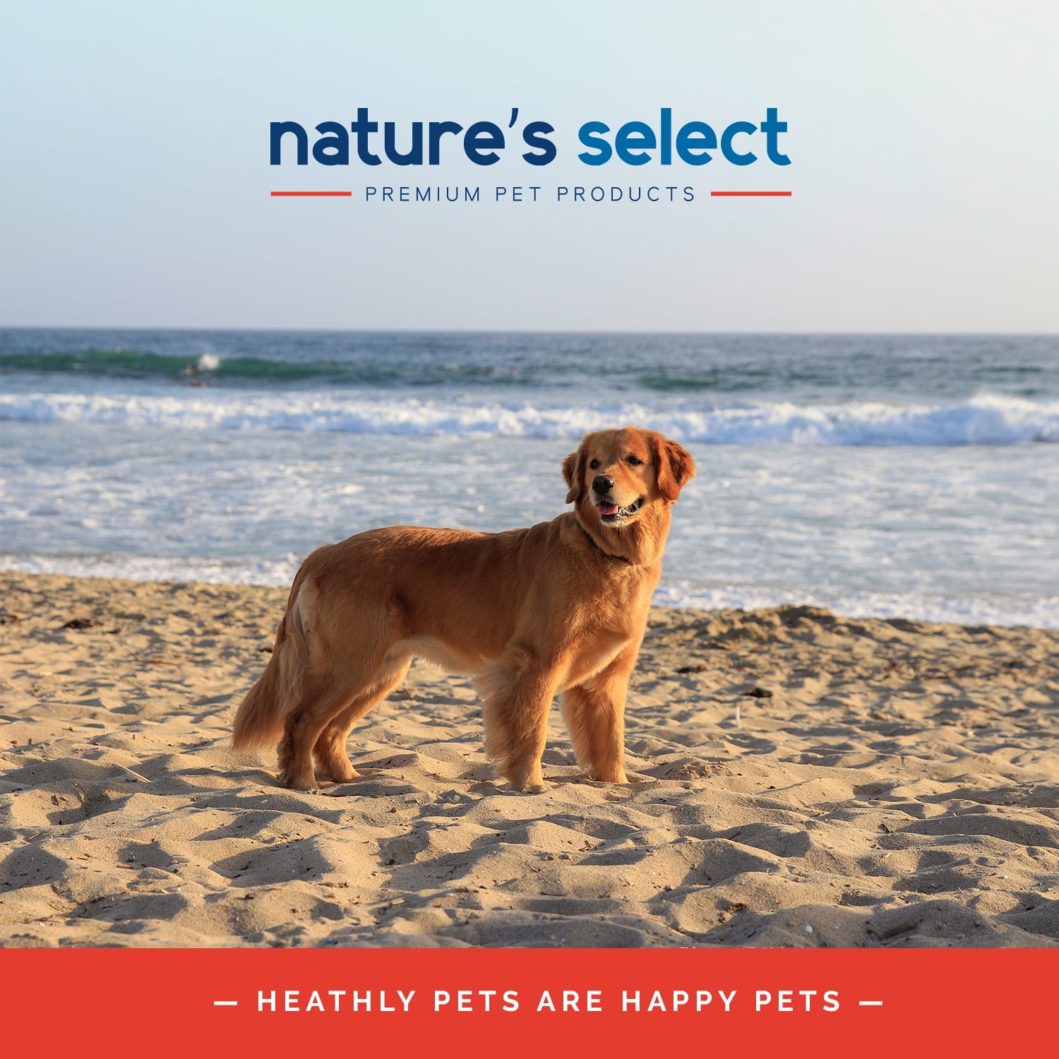 Nature's Select - Lamb & Rice Formula Paté - Canned Food for Dogs (Case of 12)