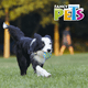 thumbnail image 4 of Fancy Pets Pelota Fetch Flash Color Azul con Sonido para Perro Fancy Pets FL9437, 4 of 4