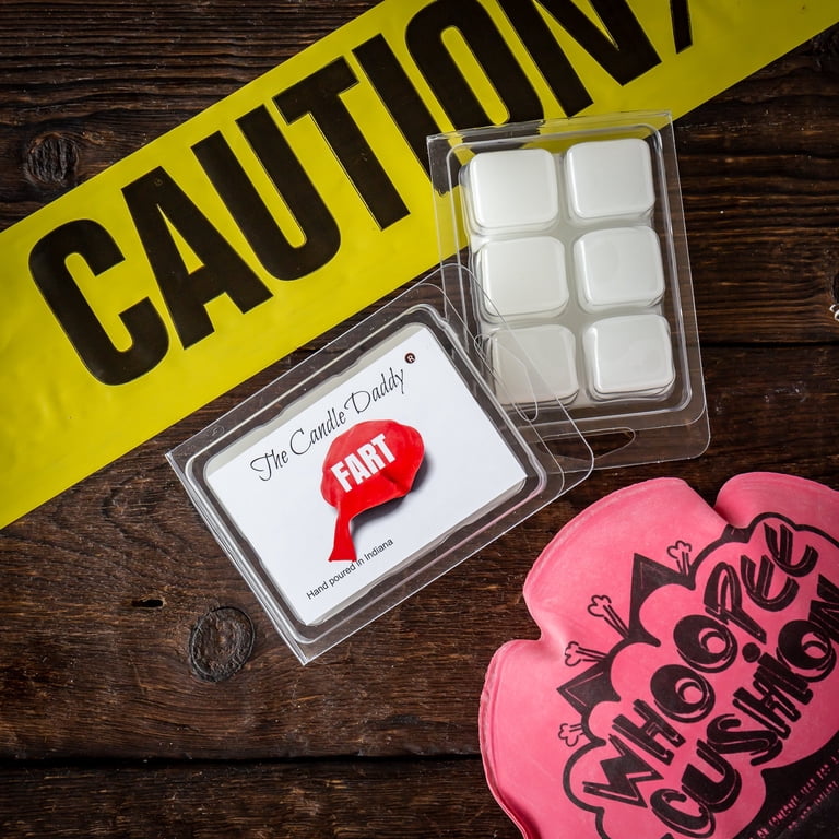The Candle Daddy 'Snow's Out, Ho's Out' Wax Melt - Frosty Winter Scent, 2 Ounces (6 Cubes), Funny Gift