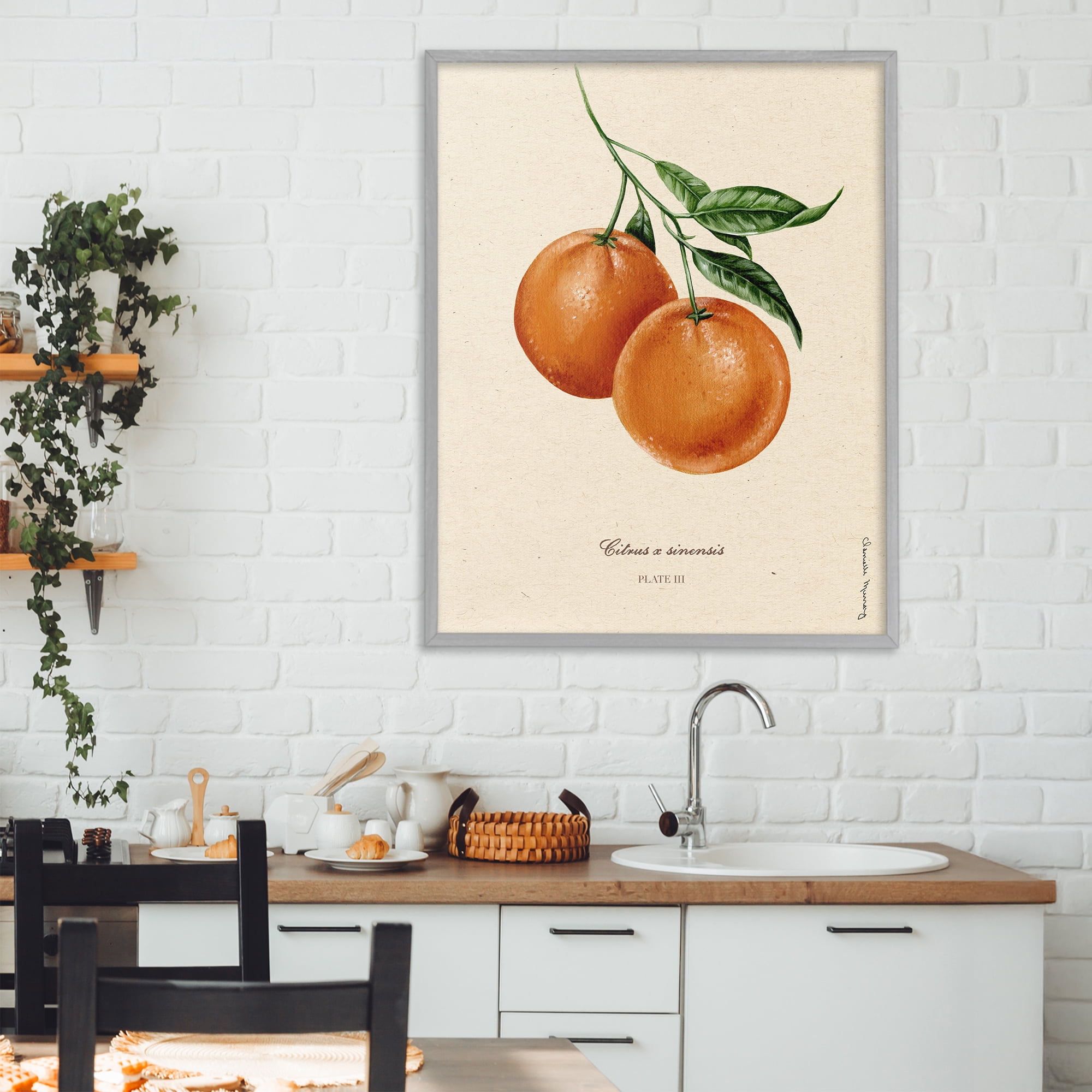Stupell Industries Orange Fruit Portrait Gray Framed Giclee Art, design by Danielle Murray