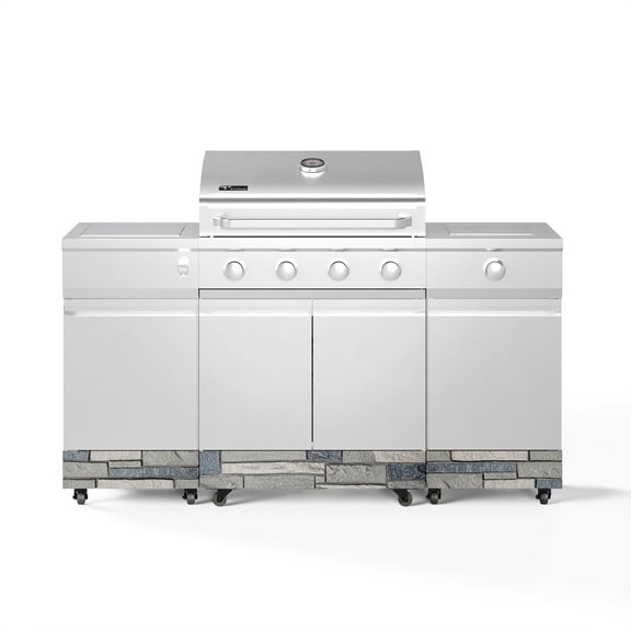 TYTUS Fresno 4-Burner Stainless Steel Gas Grill with Side Burner in Shadow Stone