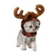 thumbnail image 4 of Gorro navideño para mascotas pequeñas, con astas de café, accesorio para disfraz de gato o perro (talla única), 4 of 5