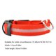 thumbnail image 3 of Collar de perro LED Collar de perro LED brillante Collar de perro recargable USB (Rojo M), 3 of 6