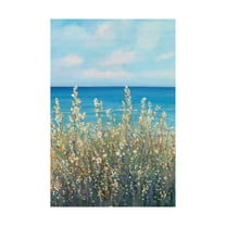 Trademark Fine Art 'Flowers at the Coast I' Canvas Art by Tim OToole