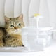 thumbnail image 3 of Fuente de agua para mascotas con filtro automático, bebedero eléctrico silencioso USB para gatos, tazón con filtro de recirculación, dispensador de agua para gatos, 3 of 6