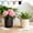 4Pcs Vintage Galvanized Planter Under $5 a1, variant on Usloyux Vintage Galvanized Metal Planter, Vertical Ribbed Farmhouse Hanging Bucket, Rustic Iron Flower Pot for Indoor Outdoor Succulents Herbs, Decorative Plants Container for Home Living Room