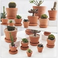 thumbnail image 3 of CUITING 20pcs Mini Terracotta Pots with Drainage Holes  Cactus Nursery Planter, 3 of 6