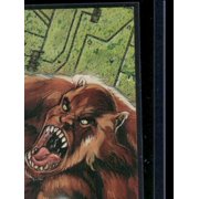 1994 SkyBox DC Master Series Wylde Technocrat #77 English Excellent Condition Trading Card