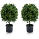 thumbnail image 1 of Kojooin Plantas Topiarias Artificiales, Árboles de Bolas de Boj Falsos para Exteriores E Interiores, Vegetación Sintética para Decoración Del Hogar, 20 Pulgadas, sin Fruta, 2 Pzas, 1 of 7