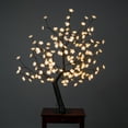 thumbnail image 2 of Outdoor Cherry Blossom Tree 160 Warm White LED (Hi-Line Exclusive), 2 of 5
