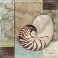thumbnail image 2 of Paul Brent 15x15 Gallery Wrapped Canvas Wall Art Titled - Santa Rosa Shell II, 2 of 4
