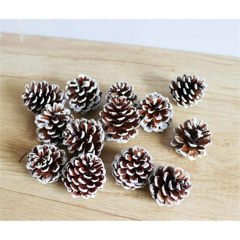 NOGIS Natural Mini Pine Cones Ornaments - Tiny Pine Cones for Christmas  Decor, Pinecone with Strings for Crafts Autumn Winter Wedding Decor Gift  Tag (9pcs) 