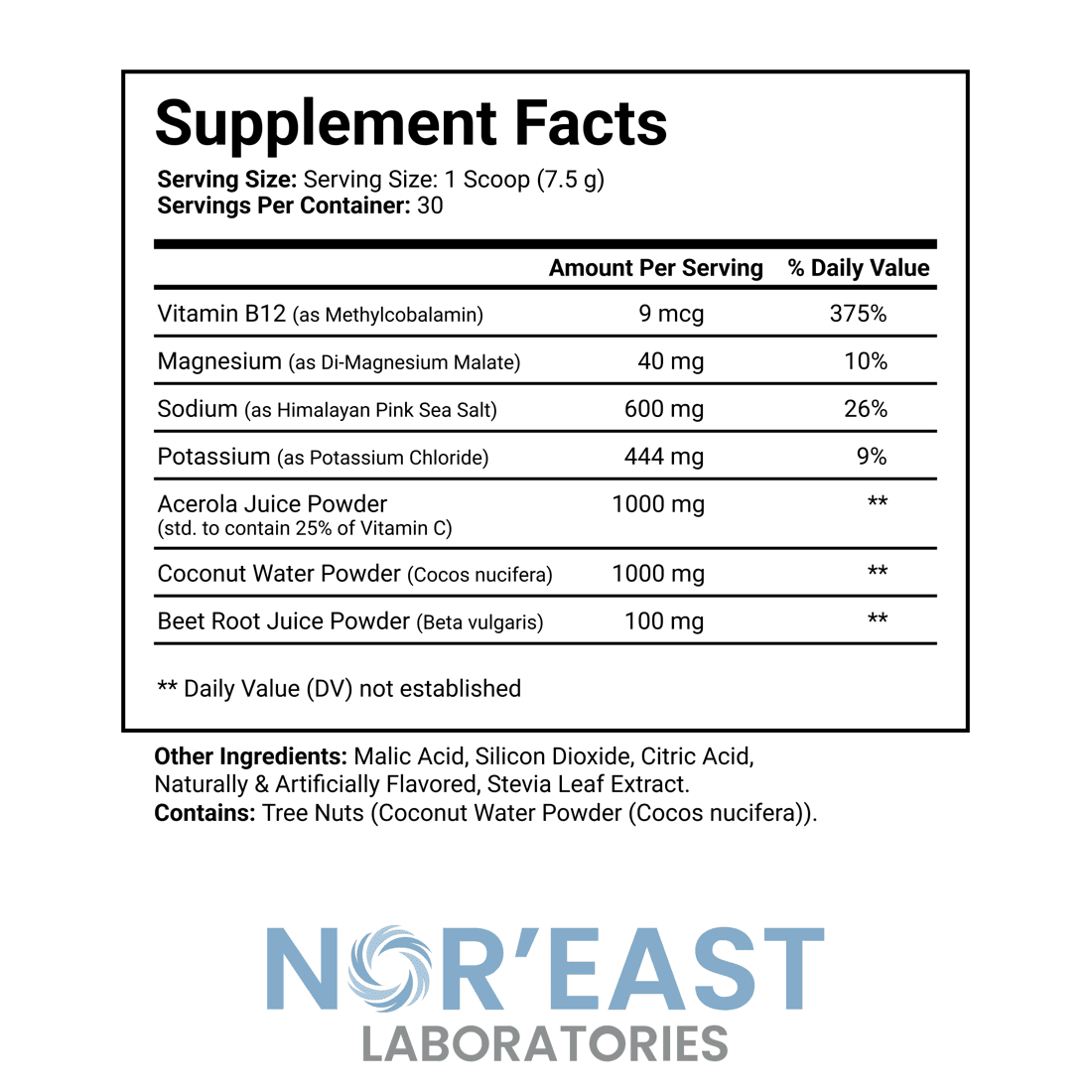 Nor'East Laboratories Electrolyte Formula – Dietary Supplement, 30 Servings