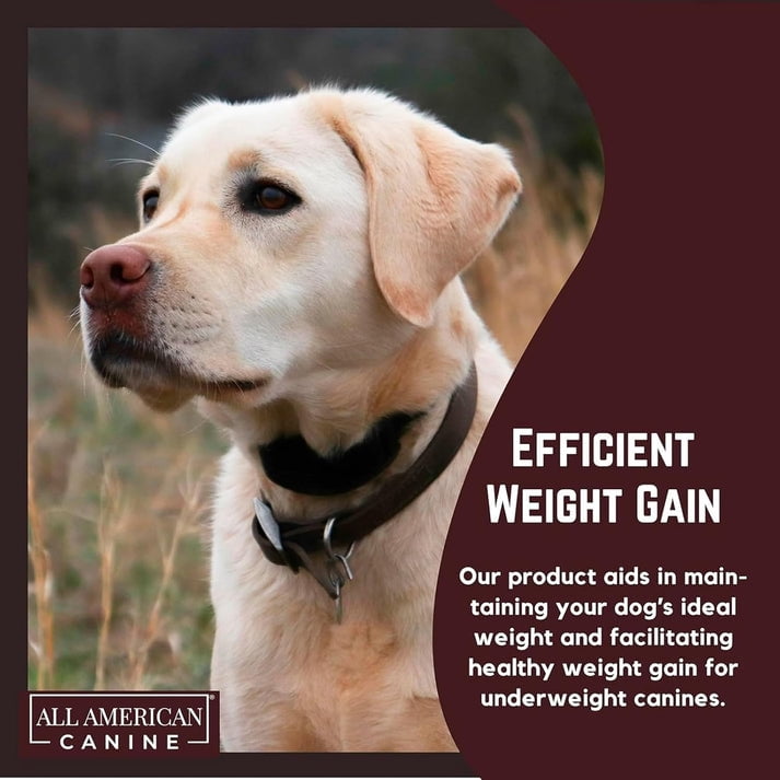 All American Canine Dog Weight Gainer Food Supplement Topper - 230 Serving ( 5lb )