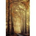 thumbnail image 2 of Podt, Martin 17x24 Gold Ornate Wood Framed with Double Matting Museum Art Print Titled - The Path of Liberation, 2 of 4