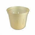 thumbnail image 1 of 4" Slotted Clear Orchid Pots - 3 Pack (Golden Creme), 1 of 4