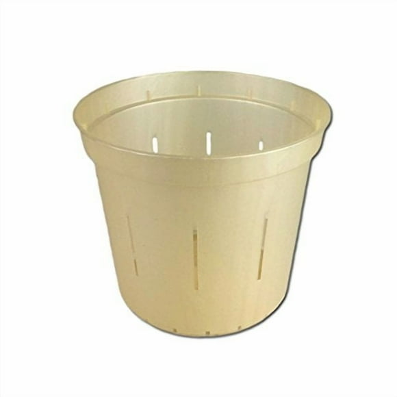 4" Slotted Clear Orchid Pots - 3 Pack (Golden Creme)