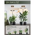 thumbnail image 2 of Luz de cultivo LED GLOWRIUM de doble cabezal, 48 W, ajustable, 180 cm, 2 of 7