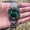 Alien Spider Web - Green, variant on Men's watch, vintage alabaster quartz watch, European and American style, unique spider web design, high aesthetic value, waterproof