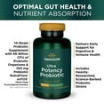 thumbnail image 4 of Swanson Ultra Potency Probiotic Digestive Health Immune System Support 66 Billion CFU Prebiotic NutraFlora scFOS 60 DRcaps Veggie Capsules (Caps) (2 Pack), 4 of 8
