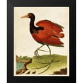 thumbnail image 2 of Unknown 15x18 Black Modern Framed Museum Art Print Titled - Heron Portrait IV, 2 of 5