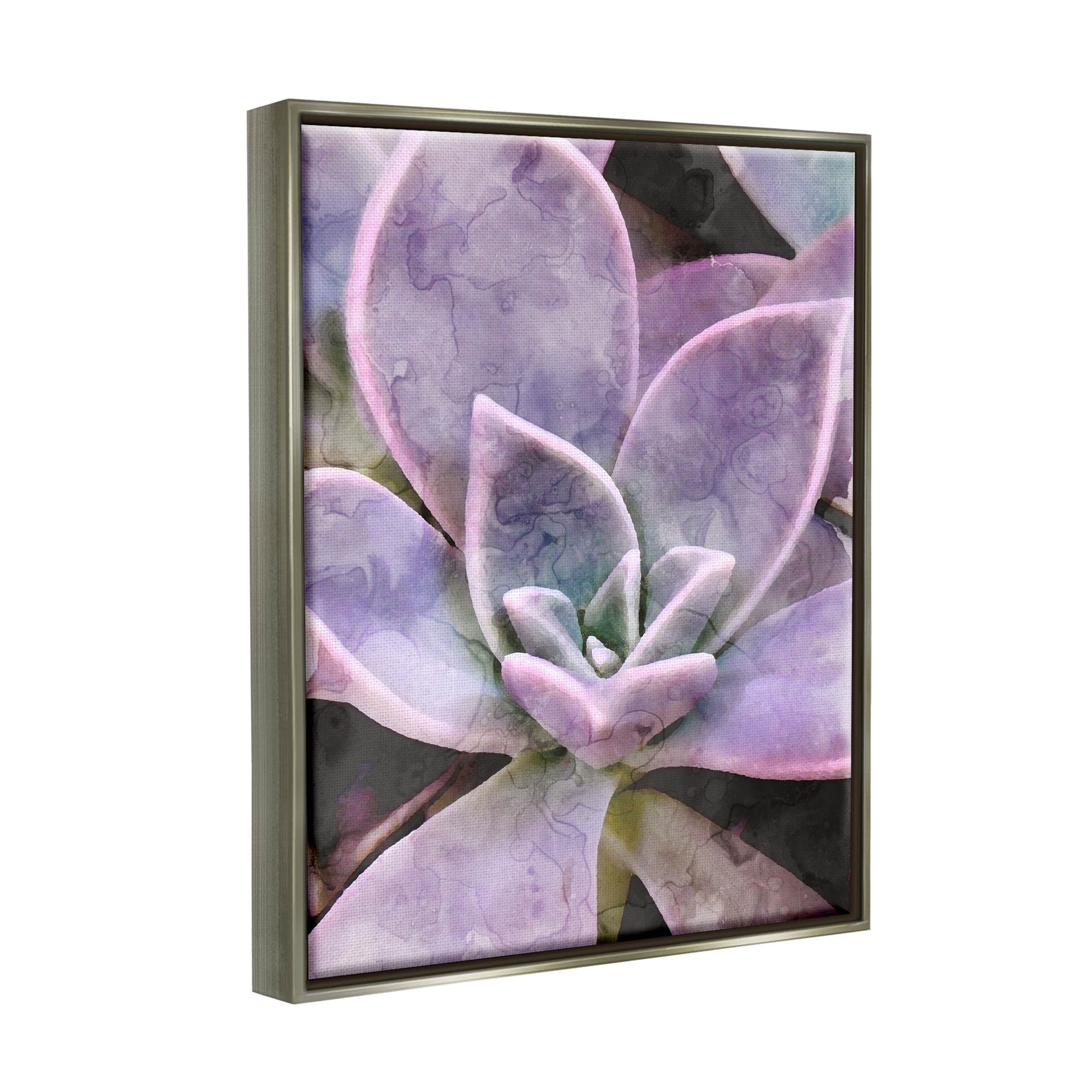 Purple Succulent Close Up Botanical & Floral Graphic Art Luster Gray Framed Art Print Wall Art