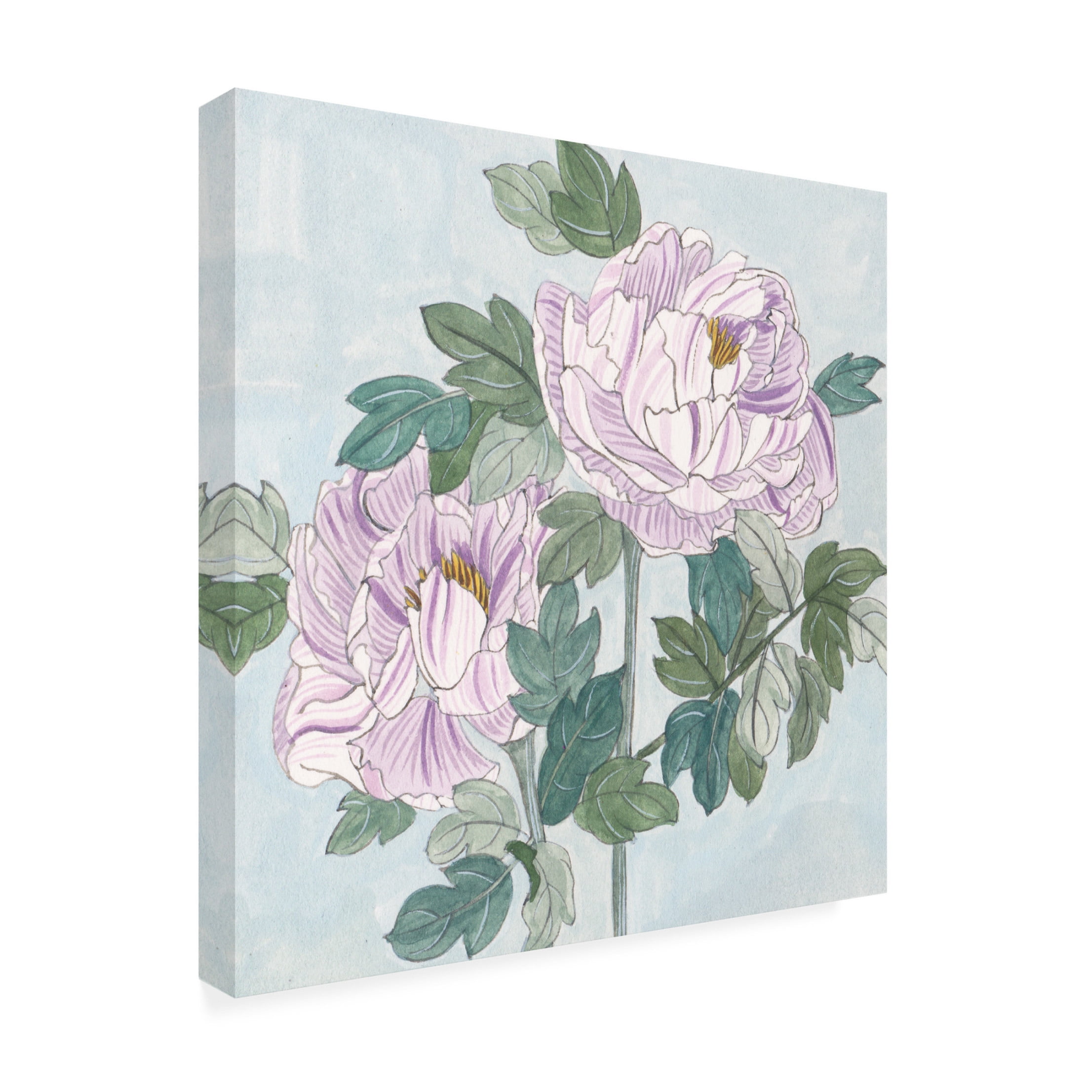 Trademark Fine Art Melissa Wang  Striped Peonies I Canvas Wall Art