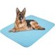 thumbnail image 1 of Summer Cooling Mat & Sleeping Pad- Water Absorption Top, Materials Safe, Easy Carry, EZ Clean. Keep Cooling for Pets, Kids and Adults.(Blue, 28" x 22"), 1 of 5