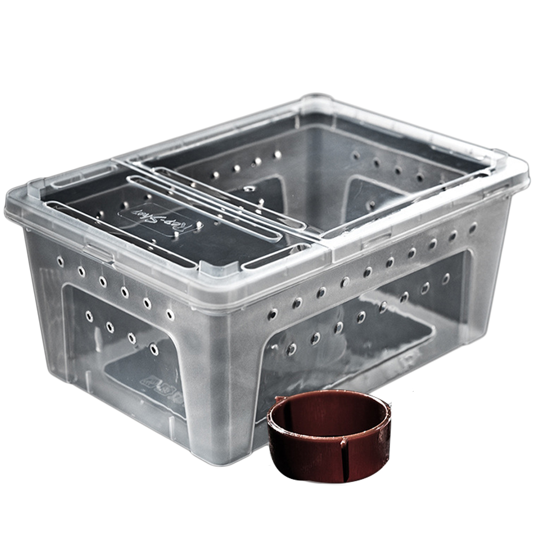 Reptile Plastic Feeding Box Lizard Spider Feeding Hatching Container