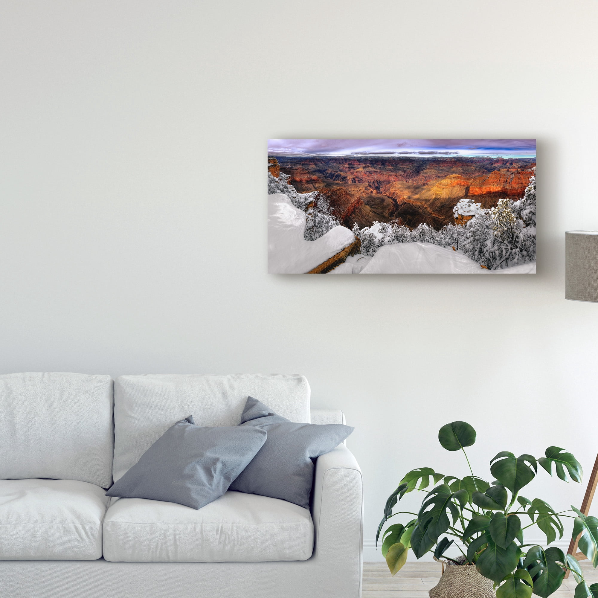 Trademark Fine Art 'Snowy Grand Canyon VII' Canvas Art by David Drost