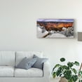 thumbnail image 3 of Trademark Fine Art 'Snowy Grand Canyon VII' Canvas Art by David Drost, 3 of 4