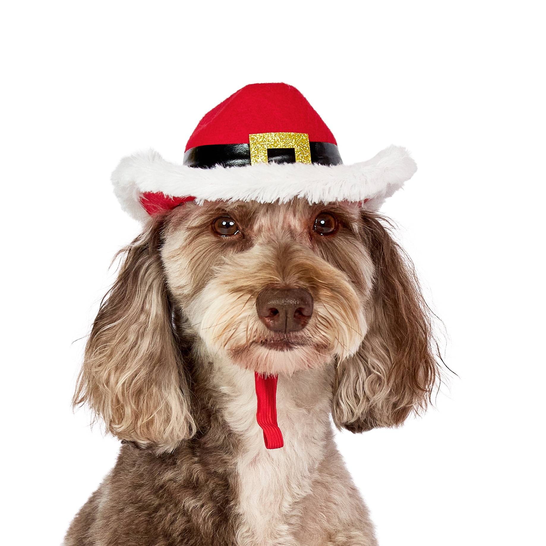 Vibrant Life Holiday Pet Santa Cowboy Hat for Dogs, Red, Medium/Large