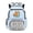 Cartoon Book-Loving Capybara with Science Themed Pattern, variant on Psesaysky Cartoon Book-Loving Capybara with Science Themed Pattern Students School Bookbag with Breathable, Lightweight Multi Pocket 17 Inch School Bag for Back to School Travel
