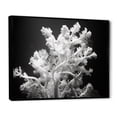 thumbnail image 2 of Designart "Monochrome Coral Plant Beauty I" Coastal Coral Under Water Floater Framed Canvas Wall Art, 2 of 5