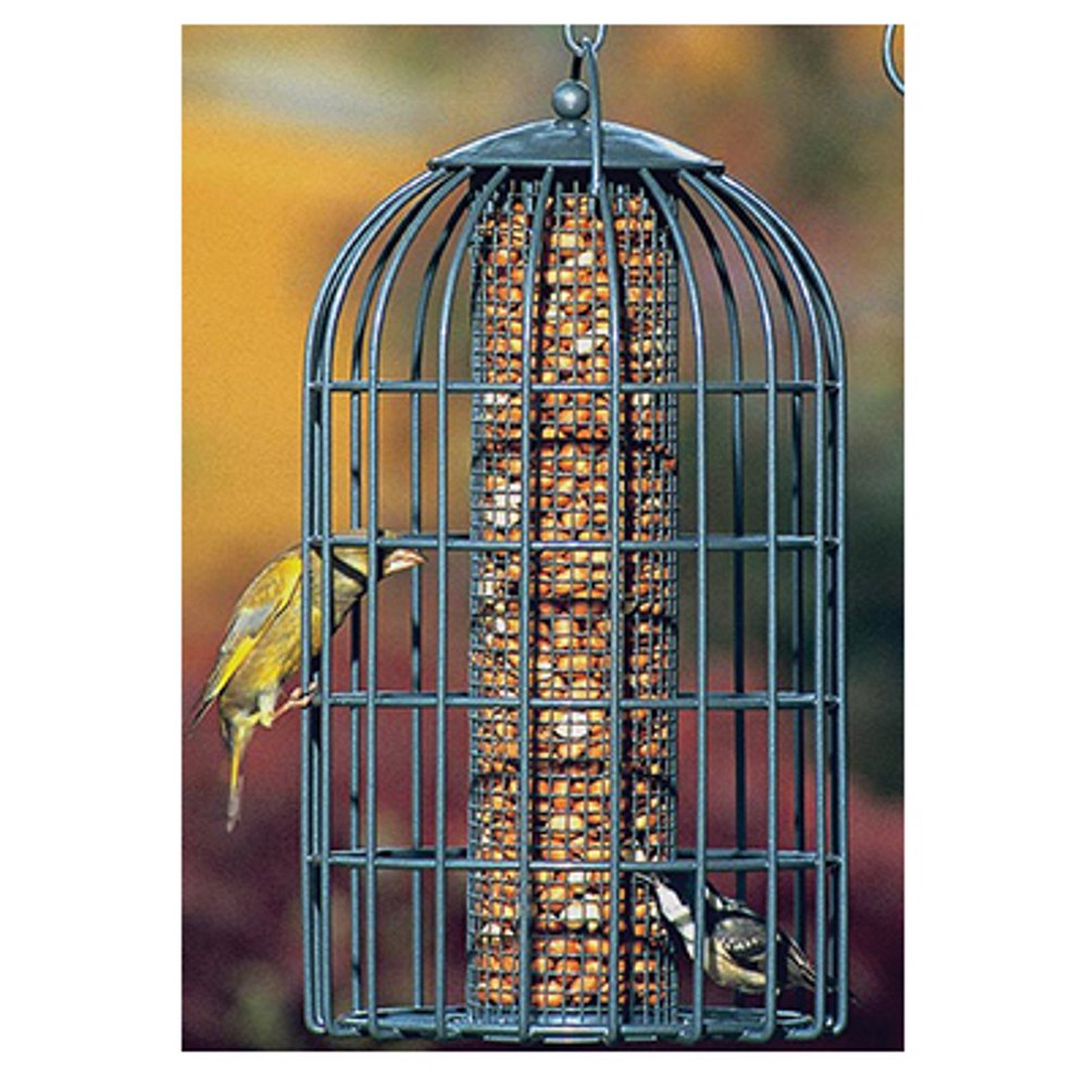 Gardman Extra Large Peanut and Sunflower Seed Tube Bird Feeder