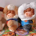 thumbnail image 5 of Lesser Panda-muñeco de peluche colgante Wendy Zoo School, figura de Anime, Linda muñeca mullida, bolsos, llavero, decoración, juguete de regalo para niños1398, 5 of 5