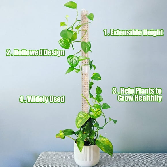 2 Pack Moss Poles for Climbing Plants - Stackable with Plastic Plants
