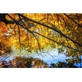 thumbnail image 2 of Hausenflock, Alan 14x11 Black Ornate Wood Framed with Double Matting Museum Art Print Titled - Autumn Reflections II, 2 of 4
