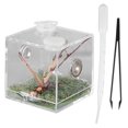 thumbnail image 1 of Reptile Breeding Box with Dropper and Forceps Pet Terrarium Transparent Case, 1 of 4