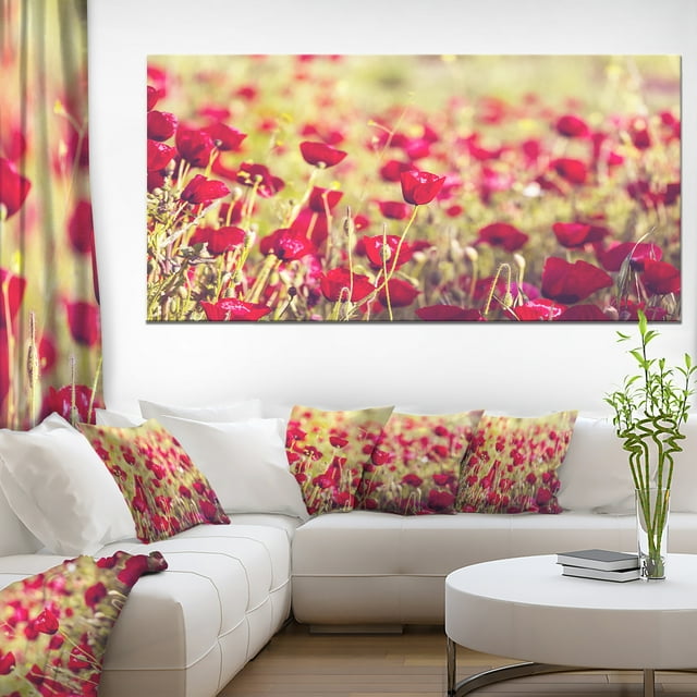 Vue Fantastique de Fleurs de Pavot Sauvage - Grande Impression sur Toile