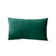 thumbnail image 2 of Darzheoy Throw Pillow Cover Rectangle Velvet Green Cushion for Sofa Bed Decor Soft Home Decorative Pillow Case 30x50 Inches, 2 of 6