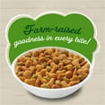 thumbnail image 3 of Purina Friskies Farm Favorites, Indoor Dry Cat Food, Chicken & Carrots, 3.15 lb Bag, 3 of 9