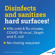 Clorox 01698CT Anywhere Sanitizing Spray, EPA-Approved, 32 oz Bottle, 12/Carton