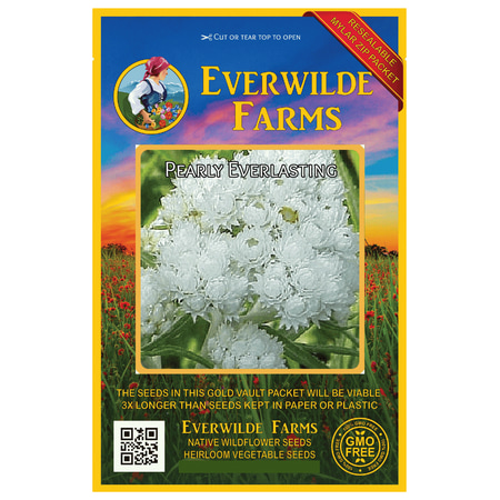 - Everwilde Farms - 1250 Pearly Everlasting Native Wildflower Seeds - Gold Vault Jumbo Bulk Seed Packet