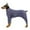 Blue L, variant on Nallwabiu Dog Winter Coat, Warm Fleece Dog Jacket, Puppy Polar Fleece High Collar Full Body Snowsuit for Cold Weather Protection (Blue, L)